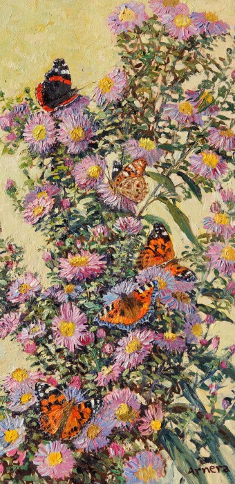 Fleurs de papillons dans les asters, Catherine  Arnera