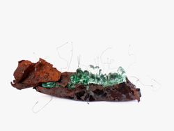 Fusion en virevolte, Caroline  Ferrara