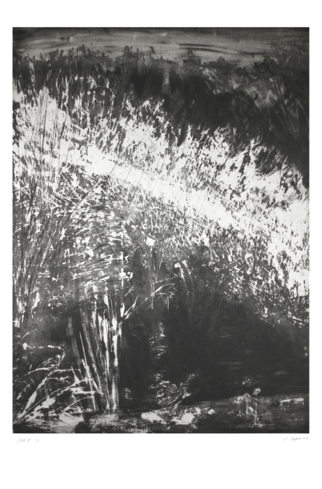 Les herbes folles, Christiane  Jaques