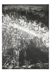 Les herbes folles, Christiane  Jaques