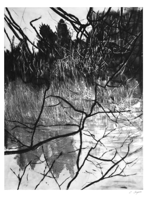 Entre les branches, Christiane  Jaques