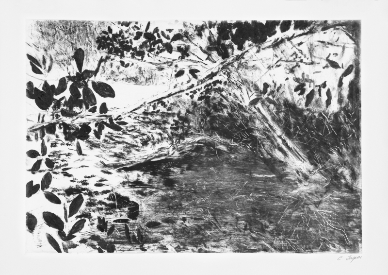 Sur l'île, Christiane  Jaques