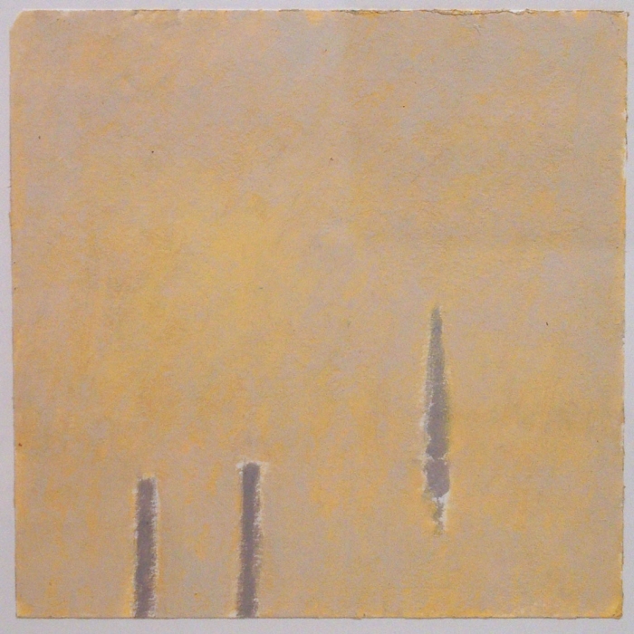 Voile et pilotis, Daniel  Aeberli