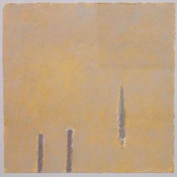 Voile et pilotis, Daniel  Aeberli