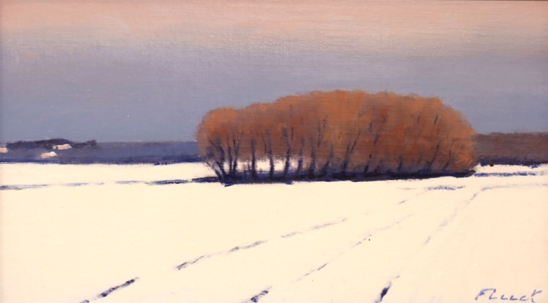 Le petit bois sous Luins, Daniel  Fluck