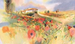 Toscane, champ de coquelicots, Daniel  Kirchhofer