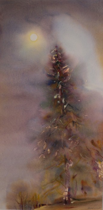 Nuit de lune, Daniel  Kirchhofer