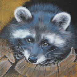 Raton laveur, Danielle  Wicht