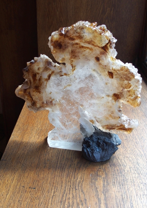 Arbre, automne, Georges et Monique  Stahl