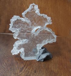 Arbre, hiver, Georges et Monique  Stahl