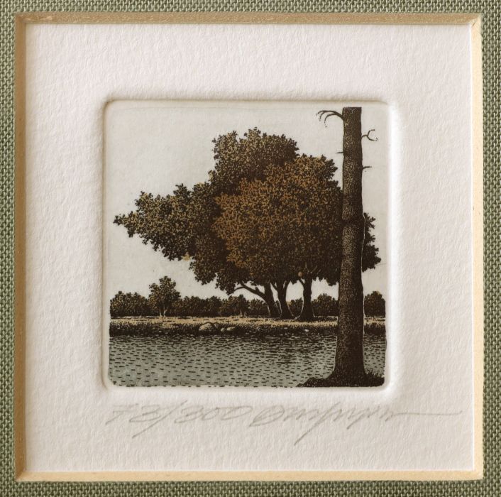 Série Arbres_1, Anonyme