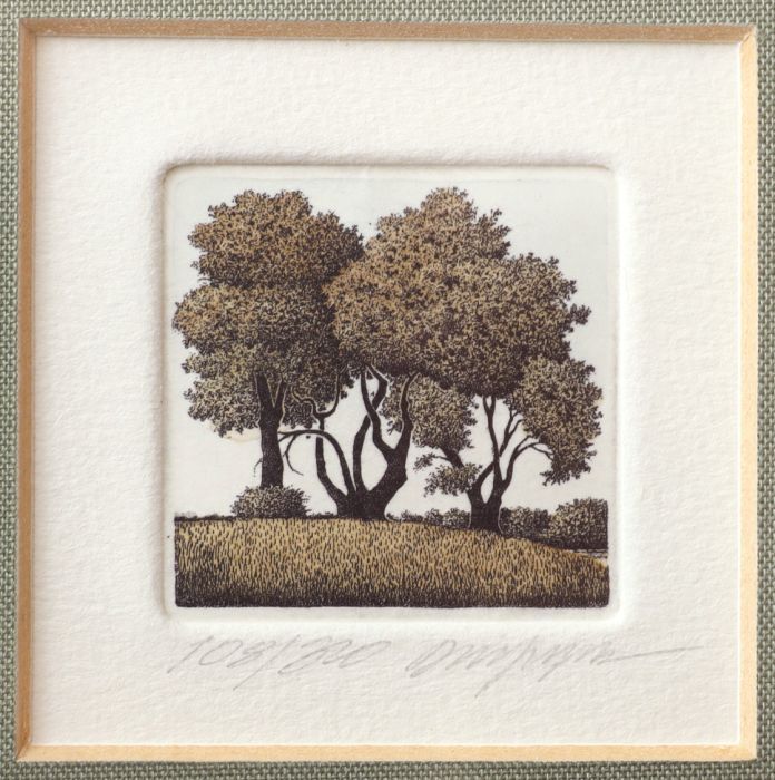 Série Arbres_2, Anonyme