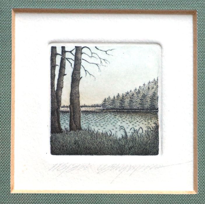 Série Arbres_2, Anonyme