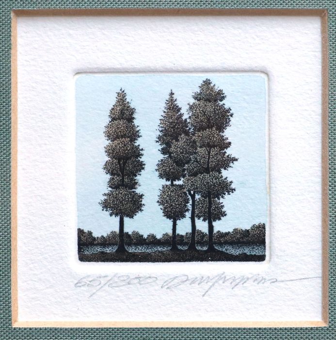 Série Arbres_2, Anonyme