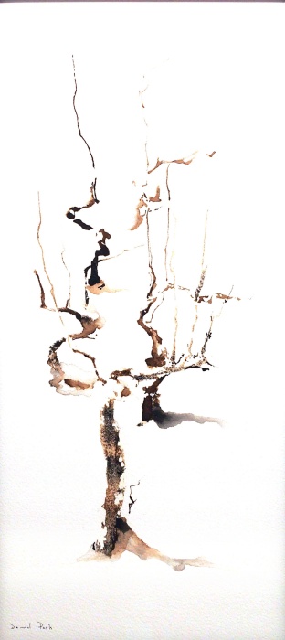 Cep de vignes, Ji Young  Demol Park