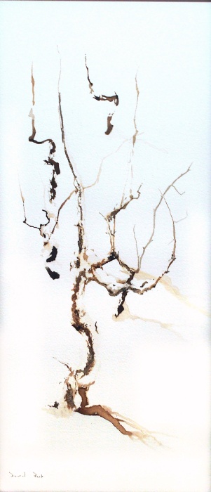 Cep de vignes, Ji Young Demol Park