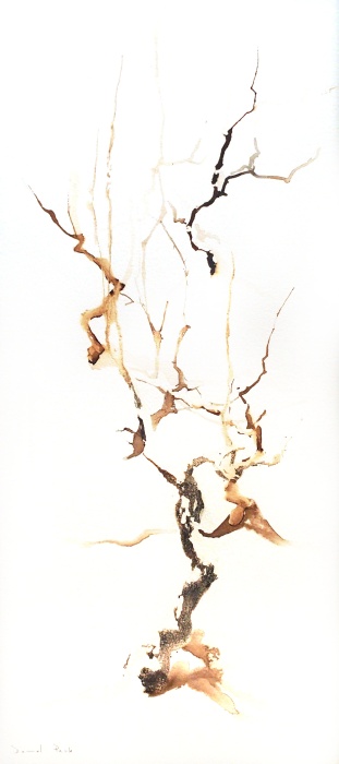 Cep de vignes, Ji Young  Demol Park