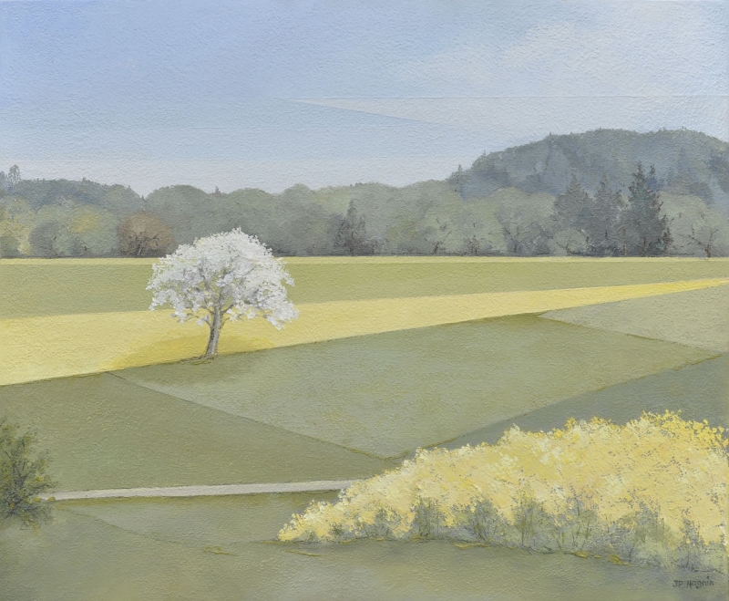 Pré vert et colza jaune, Jean-Pierre  Magnin