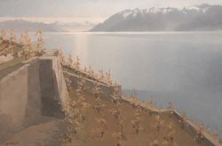 Vignes en terrasses, Jean-Pierre  Magnin