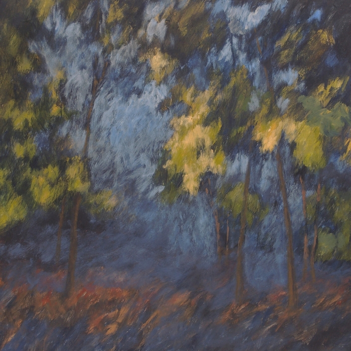 La forêt, Mireille  Veauvy