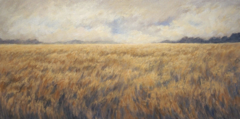 La chaleur du vent, Mireille  Veauvy