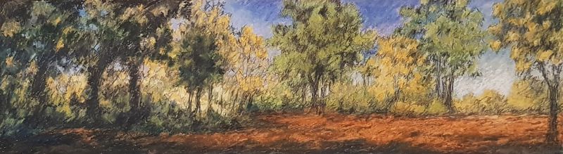 Un jour lumineux, Mireille  Veauvy