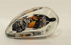 Immersion jaune, Pascal  Lemoine