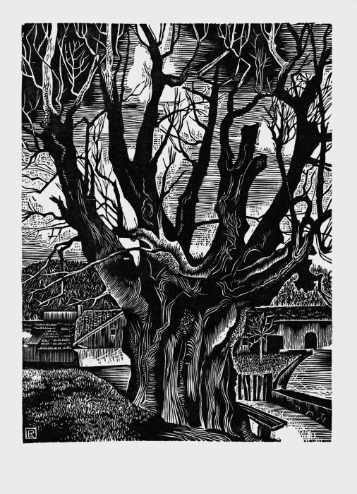 Marchissy, le gros tilleul, Pierre  Aubert