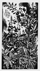 Les Epilobes, Pierre  Aubert