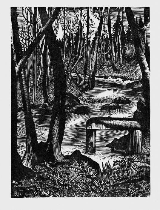 Romainmôtier, Gorges du Nozon, Pierre  Aubert