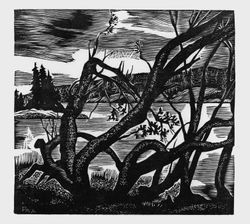 Rocheray, troncs tordus, Pierre  Aubert