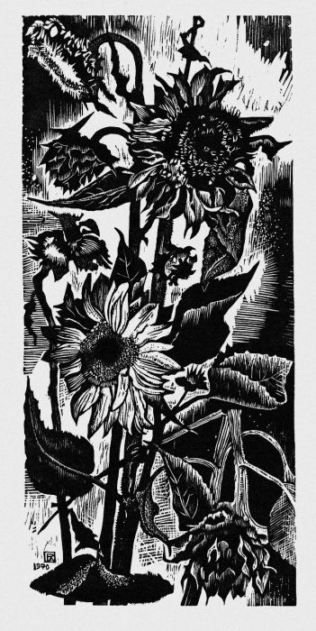 Tournesols, Pierre  Aubert