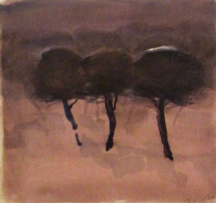 Sous les ombres, Pauline  Liniger