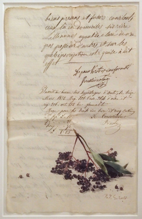 Sureau sur papier ancien, Pierre-Yves  Gabioud