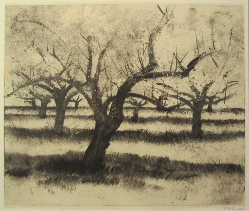 Pommiers en fleurs à Bramois, Pierre-Yves  Gabioud