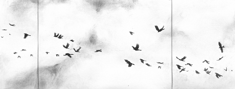 Envol de choucas, Pierre-Yves  Gabioud