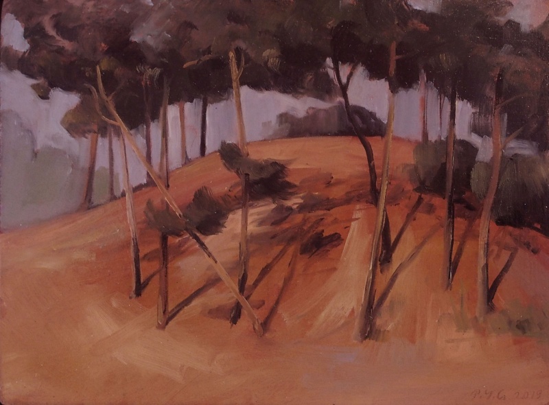 Le bois de Finges, Pierre-Yves  Gabioud