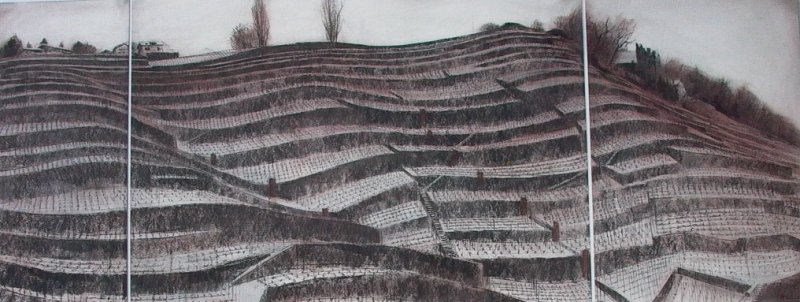 Les terrasses I, Pierre-Yves  Gabioud