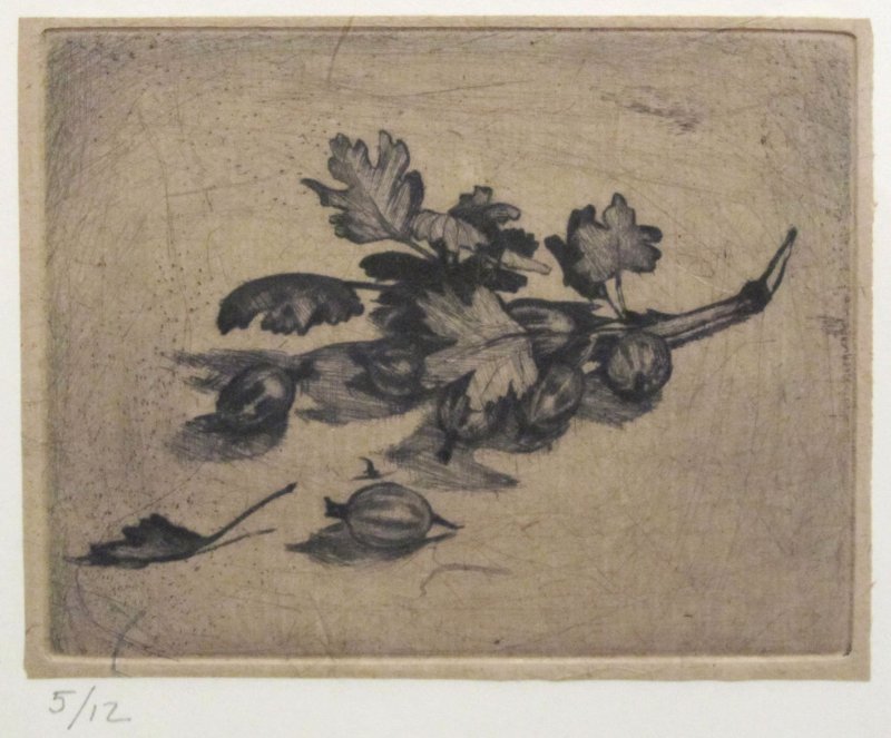 Groseilles à maquereaux III, Pierre-Yves  Gabioud