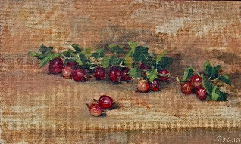 Groseilles à maquereaux IV, Pierre-Yves  Gabioud