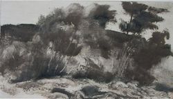 Bords de Dranse, Pierre-Yves  Gabioud