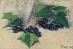 Cassis VII, Pierre-Yves  Gabioud