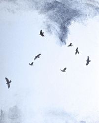 Vol de choucas, Pierre-Yves  Gabioud