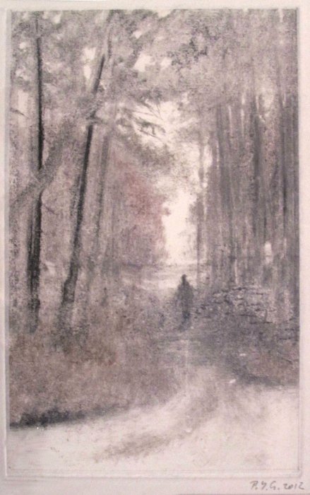 Le promeneur, Pierre-Yves  Gabioud