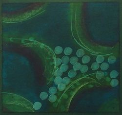 Sans titre, Renée-Paule  Danthine