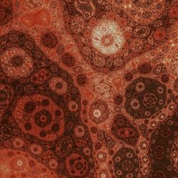 20140226-1, Samuel  Monnier