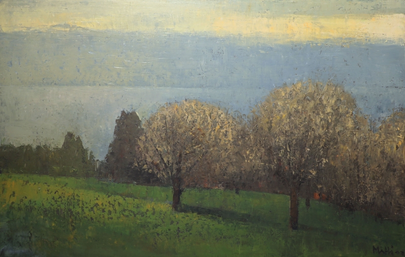 Les Hauts de Lavaux, Walter  Mafli