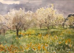 Cerisiers en fleur, Walter  Mafli