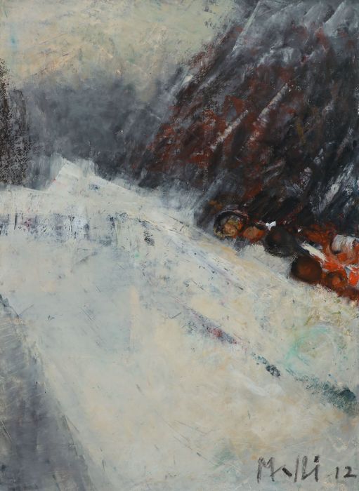 Vallée enneigée, Walter  Mafli