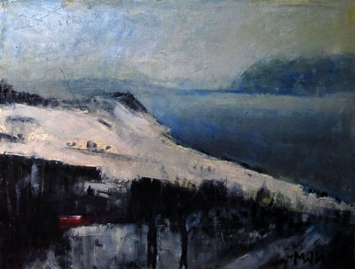 Lavaux sous la neige, Walter  Mafli